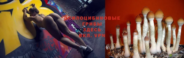 кокаин перу Аркадак