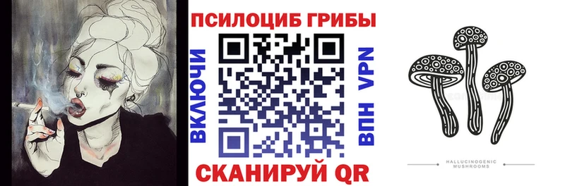 хочу Тырныауз Псилоцибиновые грибы мицелий